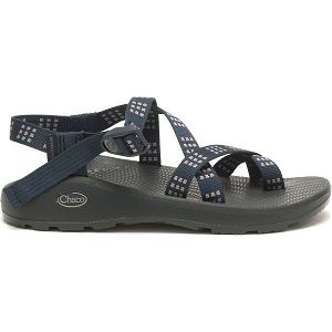 Chacos Z/Cloud 2 Men's Sandals Grey / Navy | AU-2491508