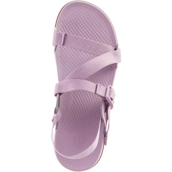 Chacos Lowdown Women's Sandals Purple / Brown | AU-5190827