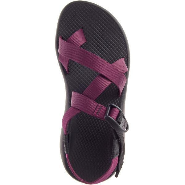 Chacos Z/2 Classic Women's Sandals Purple / Black | AU-1589746