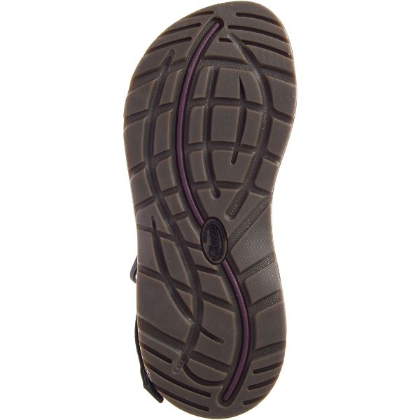 Chacos Z/2 Classic Women's Sandals Purple / Black | AU-1589746